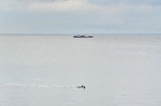 DSC0000052_.JPG