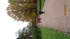 IMG_7434.JPG