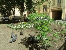 ул. Достоевского, 5