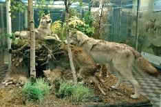 DSC00019_.JPG