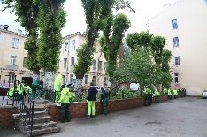 IMG_0291.JPG