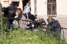 Окраска ограждений 1. Трудовой отряд за работой
