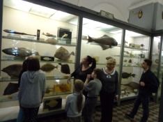 DSC05087.jpg