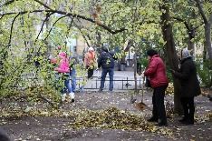 Социалистическая, 4. День Благоустройства