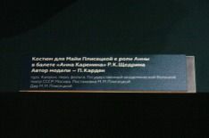 DSC02720___.JPG