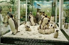 DSC00026_.JPG
