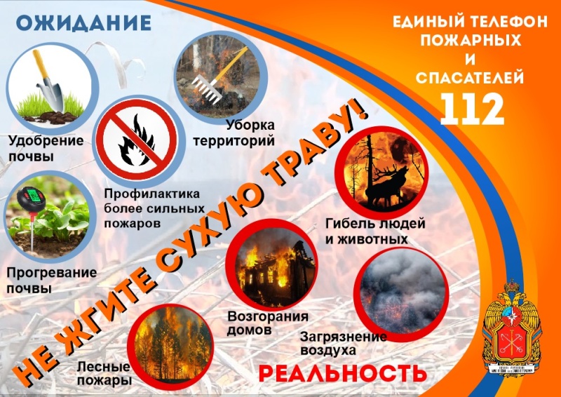 Не жгите сухую траву.jpg Не жгите сухую траву.jpg
